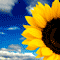 Adobe Photoshop Basics