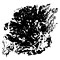 Download Free Photoshop Brushes - Paint Blotches