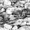 Download Free Photoshop Brushes - Rocks and Stones Textures