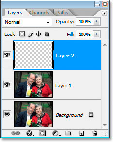 A new blank layer added above Layer 1