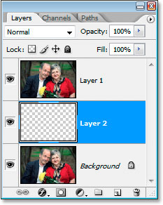 The new blank layer added below the currently selected layer