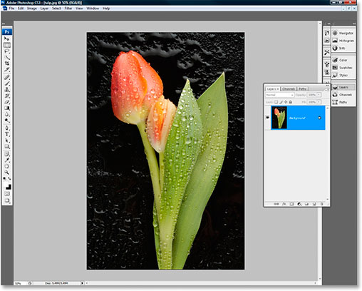 download filters for photoshop cs3 free